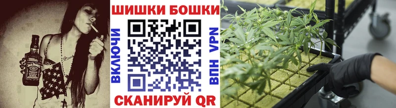 где можно купить   Абакан  Конопля Amnesia 